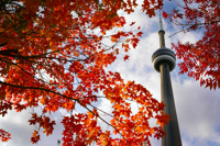 IAFL USA & Canadian Chapters Meeting, Toronto, Canada